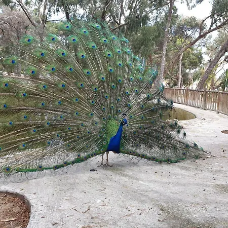 Salamanca * كوارذامار ذيل سيغورا